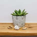 Апартаменты Roner Plavje