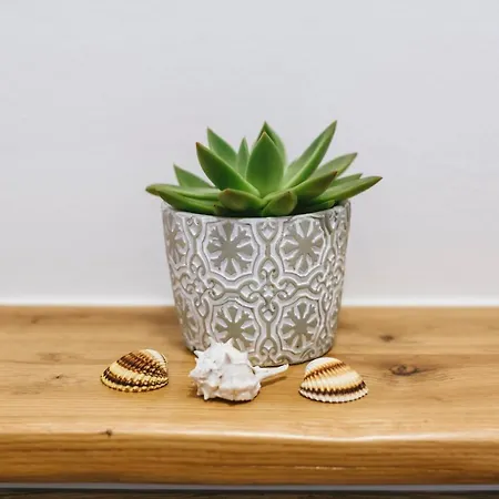 アパート Roner Plavje