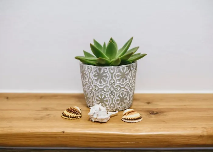 Apartamento Roner Plavje